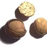 Wall Nut Bawa